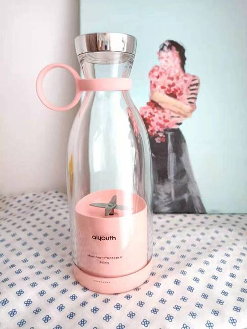 Portable Fruit Blender