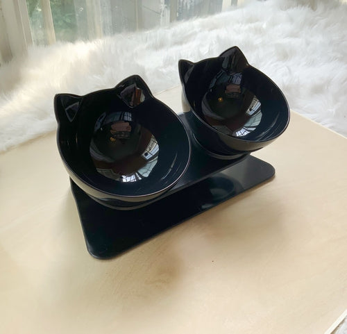 Raised Double Cat Food Bowl